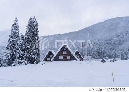 《岐阜県》積雪の白川郷・冬の合掌造り集落 123350502