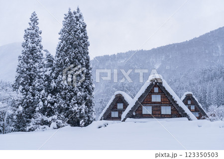 《岐阜県》積雪の白川郷・冬の合掌造り集落 123350503