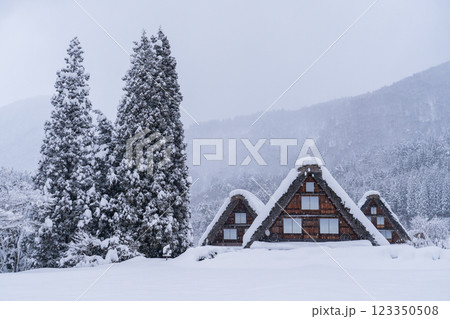 《岐阜県》積雪の白川郷・冬の合掌造り集落 《岐阜県》積雪の白川郷・冬の合掌造り集落 123350508