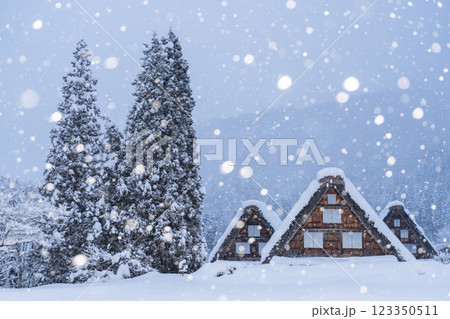 《岐阜県》積雪の白川郷・冬の合掌造り集落 123350511