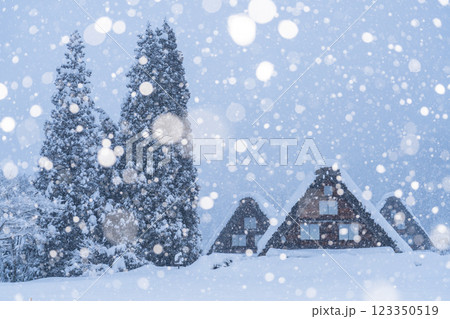 《岐阜県》積雪の白川郷・冬の合掌造り集落 123350519