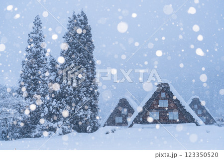 《岐阜県》積雪の白川郷・冬の合掌造り集落 123350520