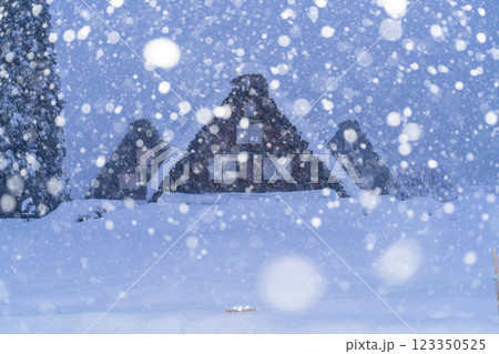 《岐阜県》積雪の白川郷・冬の合掌造り集落 123350525