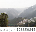 山間部に架かる赤い橋 123350845