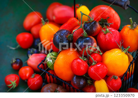 Fresh ripe red, black and yellow tomatoes  on rustic background 123350970