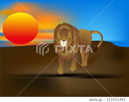 Lion at sunset. 123351441