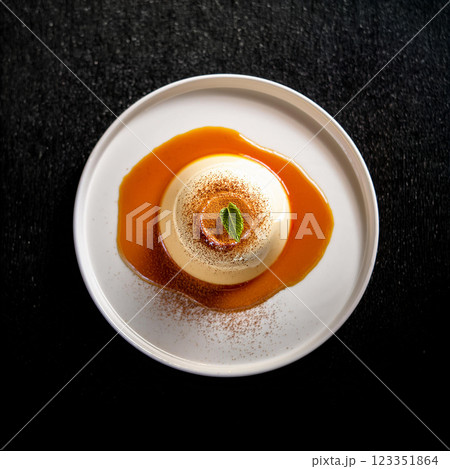 Elegant Panna Cotta with Caramel Drizzle 123351864