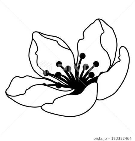 Illustration of spring flower bud. Apple, sakura or cherry blossom. Illustration of spring flower bud. Apple, sakura or cherry blossom. 123352464