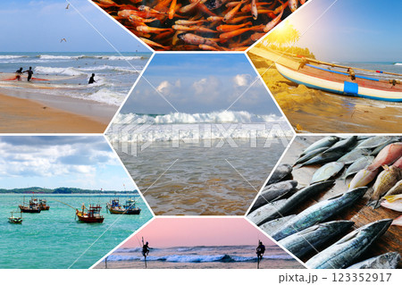 Fishing in the Indian Ocean. Fishermen with a rod, net and on fishing boats. Collage. Sri Lanka. The concept is travel. Fishing in the Indian Ocean. Fishermen with a rod, net and on fishing boats. Collage. Sri Lanka. The concept is travel. 123352917