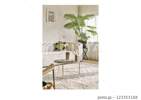 A stylish living room featuring a cozy sofa, potted plant, elegant coffee table, and ample natural light creating a warm atmosphere. 123353188