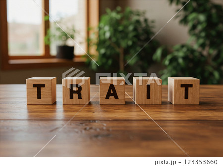 リビングに置かれた「TRAIT」と書かれた木製キューブ 123353660