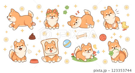 Kawaii shiba dog. Funny pets characters, different actions, fluffy domestic animals, cute mascot, japanese breed, akita ken pup, grooming logo, cartoon flat isolated tidy vector set 123353744
