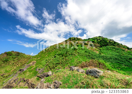 石垣島のトレッキングスポット – 緑に囲まれた風景 123353863