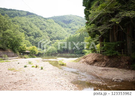 大分市　大分県県民の森 123353962
