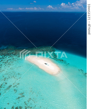Sandbank experience with picnic in Gaafu Dhaalu Atoll Maguhdhuvaa Island, Maldives 123354401