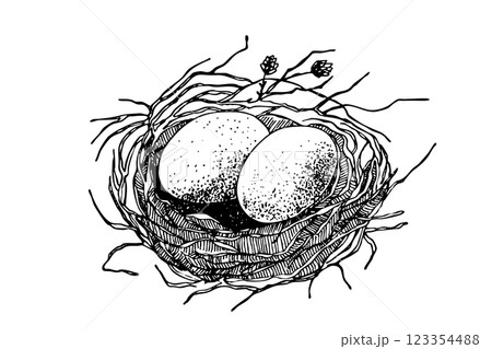 Bird nest with eggs. Easter hand drawn vector illustration, template design Bird nest with eggs. Easter hand drawn vector illustration, template design 123354488