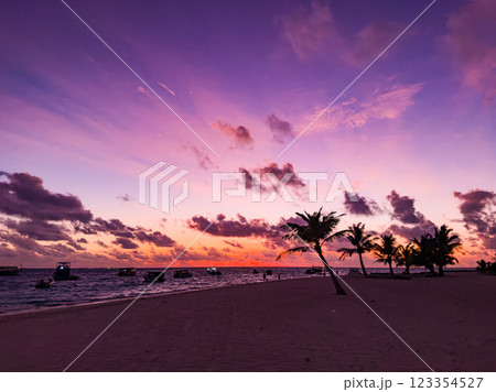 View of Fulidhoo island in the Maldives 123354527