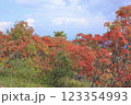 栗駒山の紅葉 123354993