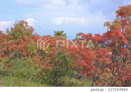 栗駒山の紅葉 栗駒山の紅葉 123354993