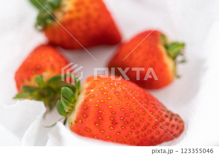 Bright red strawberries, interspersed with signs of mold, rest in a glass bowl lined with a paper towel on a white napkin, indicating improper storage techniques. Bright red strawberries, interspersed with signs of mold, rest in a glass bowl lined with a paper towel on a white napkin, indicating improper storage techniques. 123355046