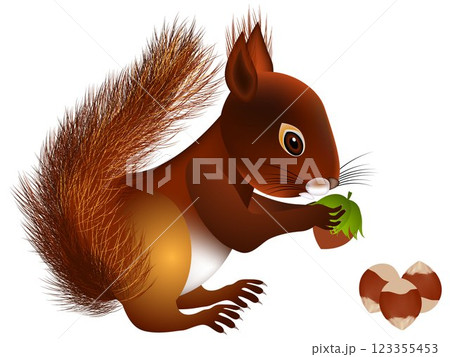 Squirrel with hazelnut. 123355453