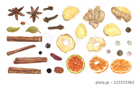 Mix of various spices and dried fruit slices set watercolor illustration isolated background. Cinnamon, cardamon, star anise, cloves, pepper, raisin , ginger, orange and apple clip art. For decor Mix of various spices and dried fruit slices set watercolor illustration isolated background. Cinnamon, cardamon, star anise, cloves, pepper, raisin , ginger, orange and apple clip art. For decor 123355962