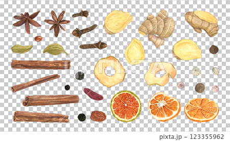 Mix of various spices and dried fruit slices set watercolor illustration isolated background. Cinnamon, cardamon, star anise, cloves, pepper, raisin , ginger, orange and apple clip art. For decor 123355962