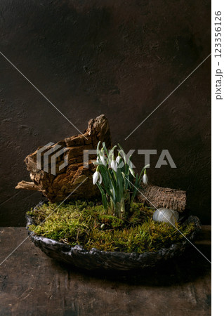 Botanical arrangement ikebana Botanical arrangement ikebana 123356126
