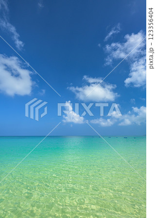 透明度抜群！石垣島のエメラルドグリーンの海 123356404