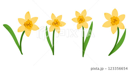 Stylized yellow daffodils with a textured effect 123356654