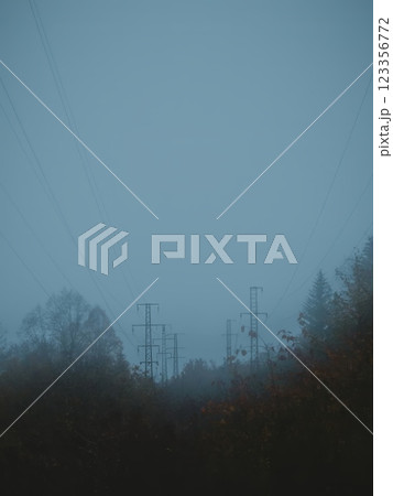 Electric Power Lines in Foggy Forest Electric Power Lines in Foggy Forest 123356772