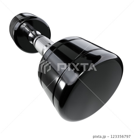 Blank Round Dumbbell, chrome weightlifting gym equipment wide angle view 123356797