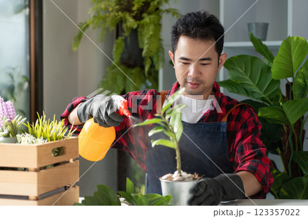 Gardener Spraying Indoor Plant for Optimal Health and Longevity 123357022