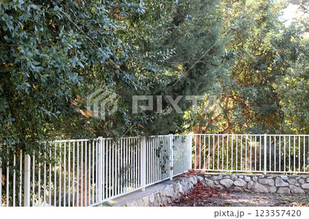 green plants and flowers grow along the high fence green plants and flowers grow along the high fence 123357420