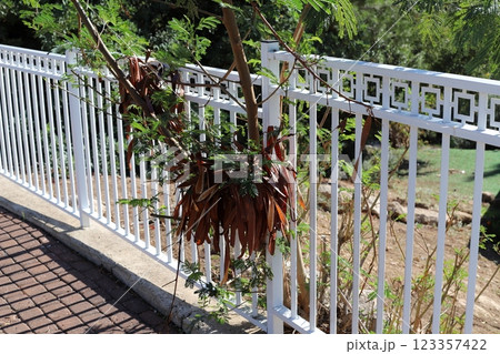 green plants and flowers grow along the high fence 123357422