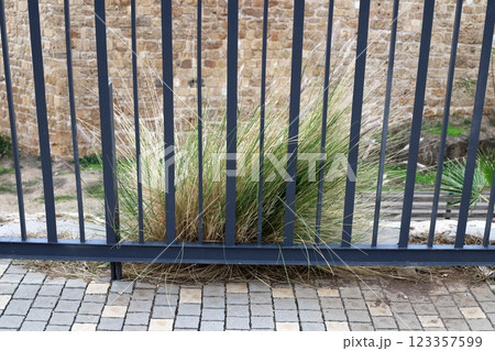 green plants and flowers grow along the high fence green plants and flowers grow along the high fence 123357599