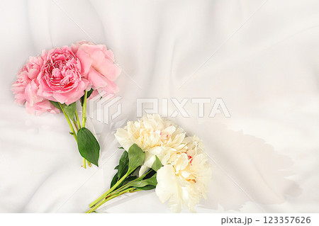 Bouquet of fresh peonies on sunny background.Abstract floral arrangement.Banner for congratulations on Mother's Day, wedding, Women's Day, birthday. Minimal modern aesthetics, elegant beauty concept 123357626