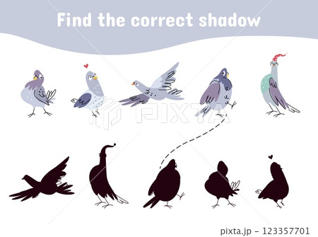 Children puzzle game with cute pigeons. Find correct shadow. Education play for toddlers, kindergarten preschool entertainment vector template 123357701