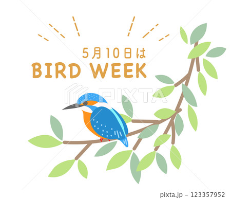 愛鳥週間　カワセミ　リース　野鳥　鳥 123357952