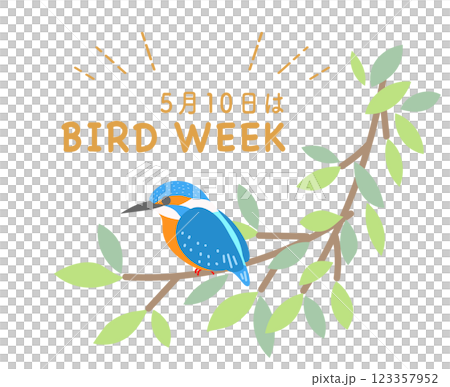 國際鳥週 翠鳥花環 野生鳥類 鳥類 123357952