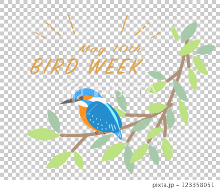 愛鳥週間 カワセミ リース 野鳥 鳥 愛鳥週間 カワセミ リース 野鳥 鳥 123358051