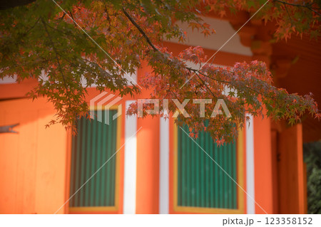 朱色に映える京都府八幡市の八角堂を撮影 123358152