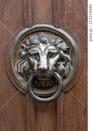 metal lion head on door for knocking metal lion head on door for knocking 123358480