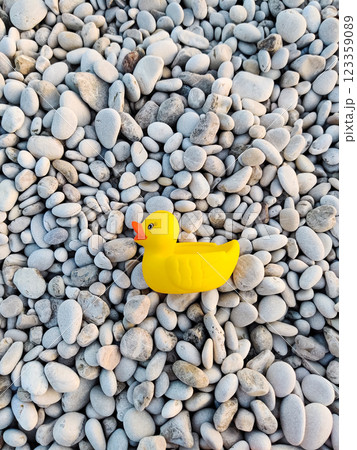 rubber toy yellow duck on a sandy beach 123359089