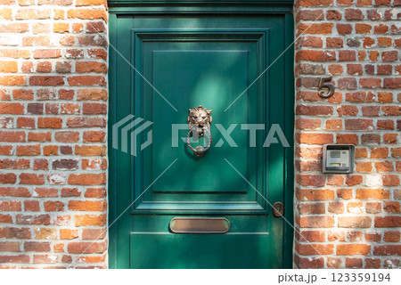 metal lion head on door for knocking 123359194