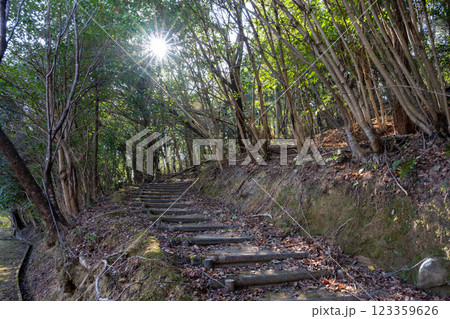 日本の兵庫県相生市の遠見山の美しい風景 123359626