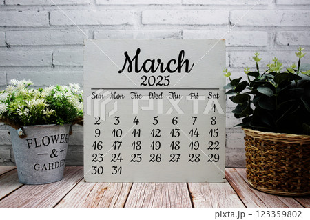 March 2025 annual monthly desk calendar for planning and management 123359802