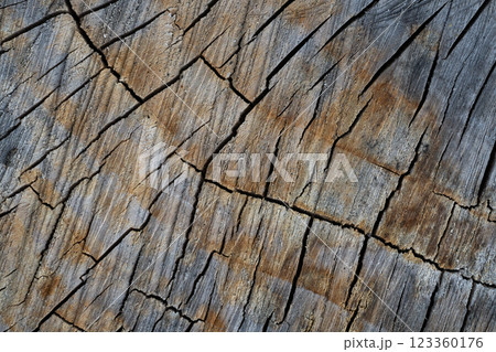 close up of wood texture with natural fibers, board material for construction 123360176