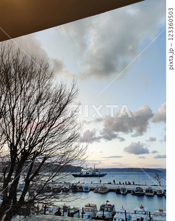 beautiful ships and boats are moored near the shore 123360503