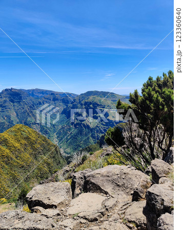 beautiful mountain landscape on the island of Madeira in Portugal 123360640